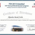 2013 FDI İstanbul